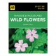 Spotter Guide Wayside & Woodland Wildflowers (aa Spotter Guides) / Aa Publishing