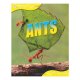 Ants (animal Lives) / Sally Morgan