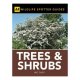 Spotter Guide Trees & Shrubs (aa Spotter Guides) / Aa Publishing