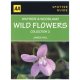 Spotter Guide Wayside & Wood Flowers 2 (aa Spotter Guides)