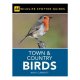 Spotter Guide Town & Country Birds (aa Spotter Guides) / Aa Publishing