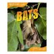 Bats (animal Lives) / Qed