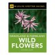 Spotter Guide Grassland & Farmland Wild Flowers (aa Spotter Guides) / Aa Publishing