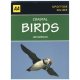 Spotter Guide Coastal Birds (aa Spotter Guides)