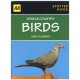 Spotter Guide Town & Country Birds (aa Spotter Guides)
